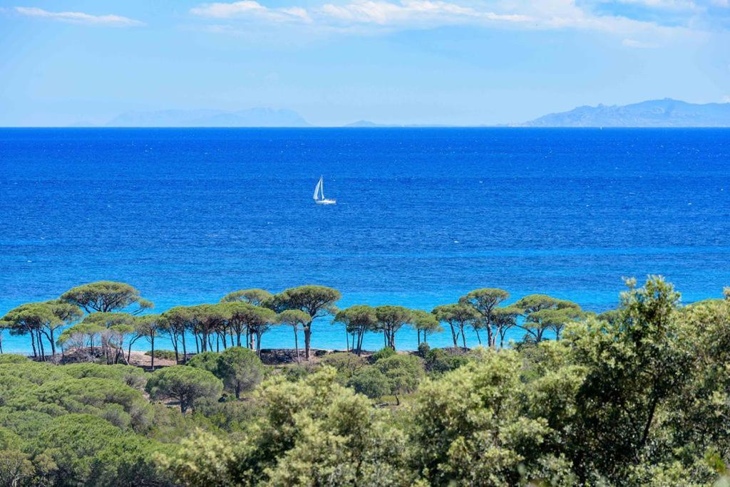 Les Bergeries De Palombaggia Porto-Vecchio (Corsica)